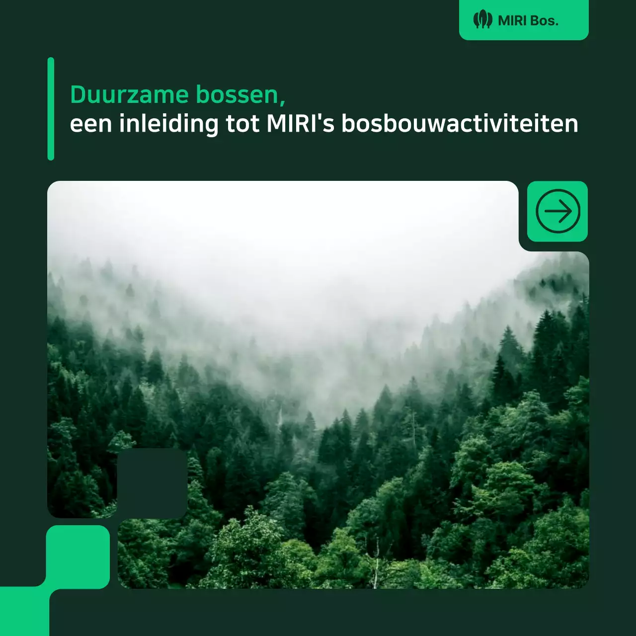 Groene natuurlijke omgevingsportefeuille