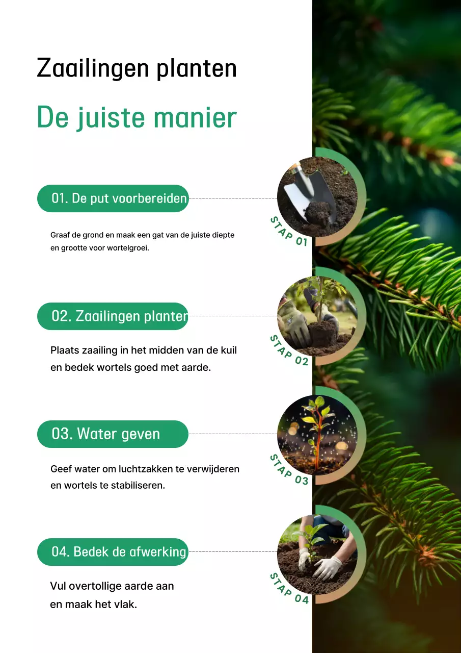 Groene, eenvoudige plantenverzorgingsgids