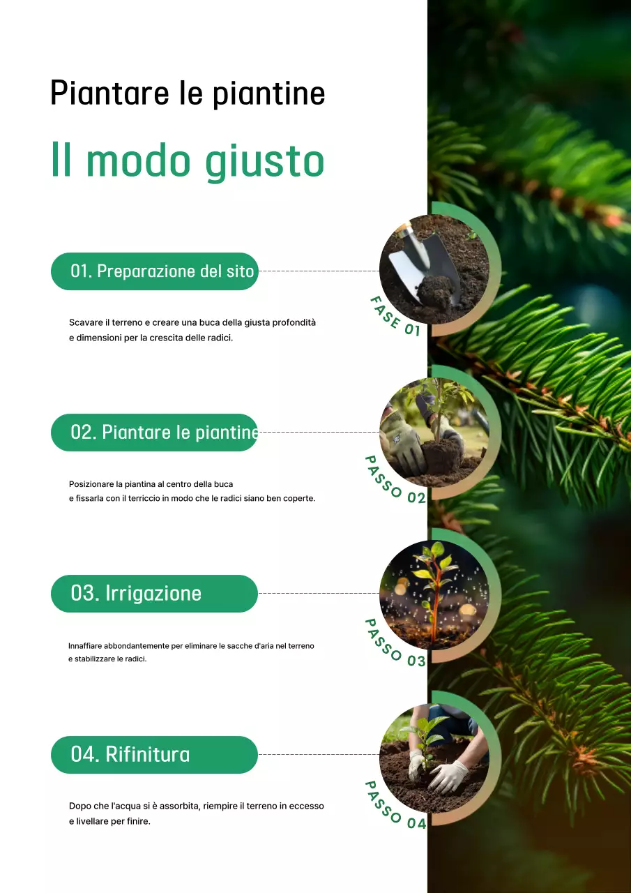 Guida semplice e verde per la cura delle piante