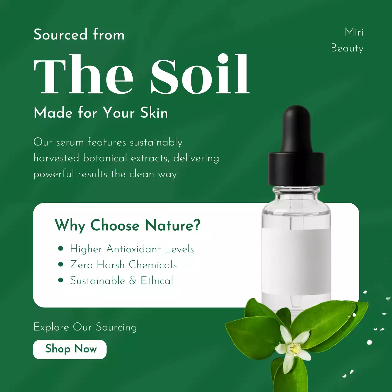 초록 자연 제품 홍보