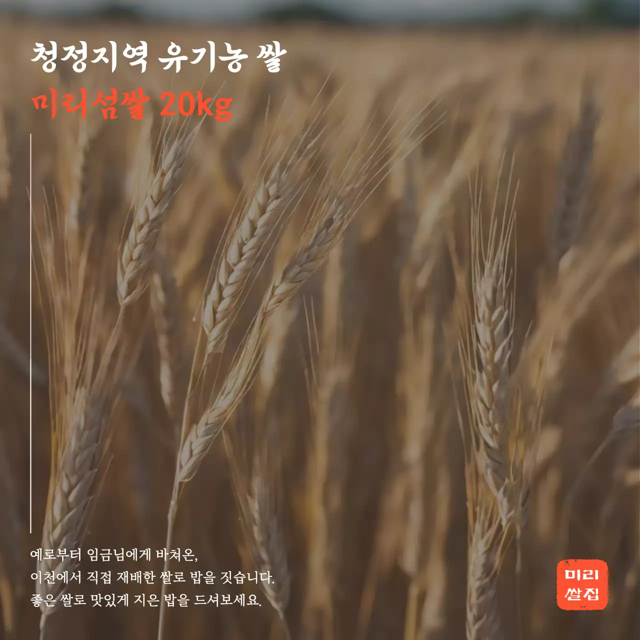 황금색 자연 유기농 쌀 광고