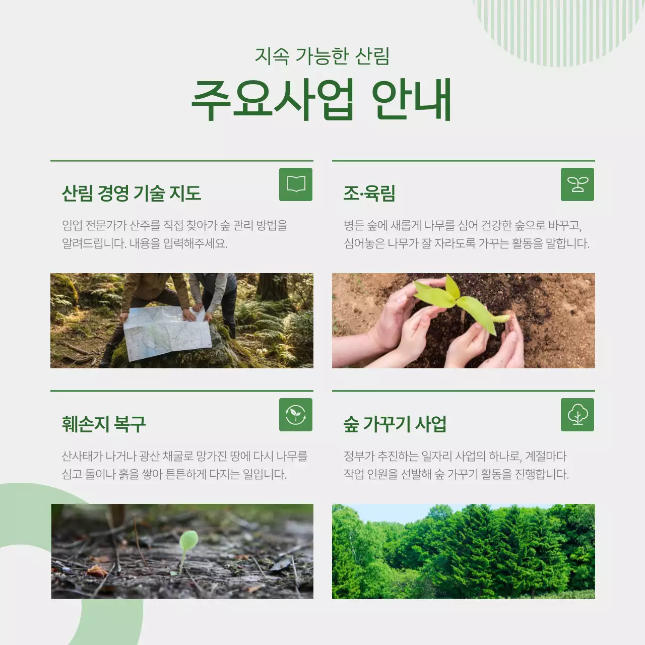 초록의 깔끔한 육림업 안내