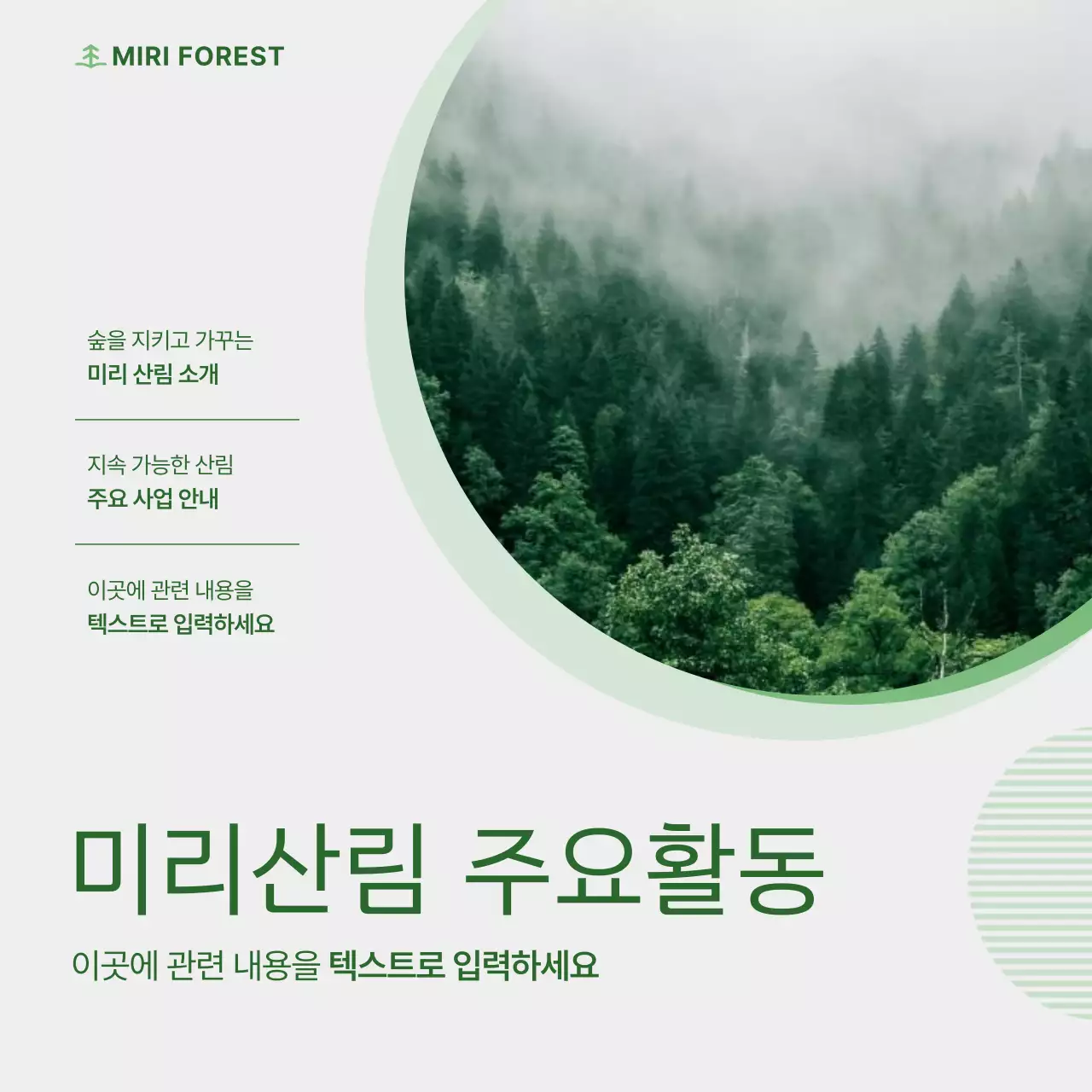 초록의 깔끔한 육림업 안내