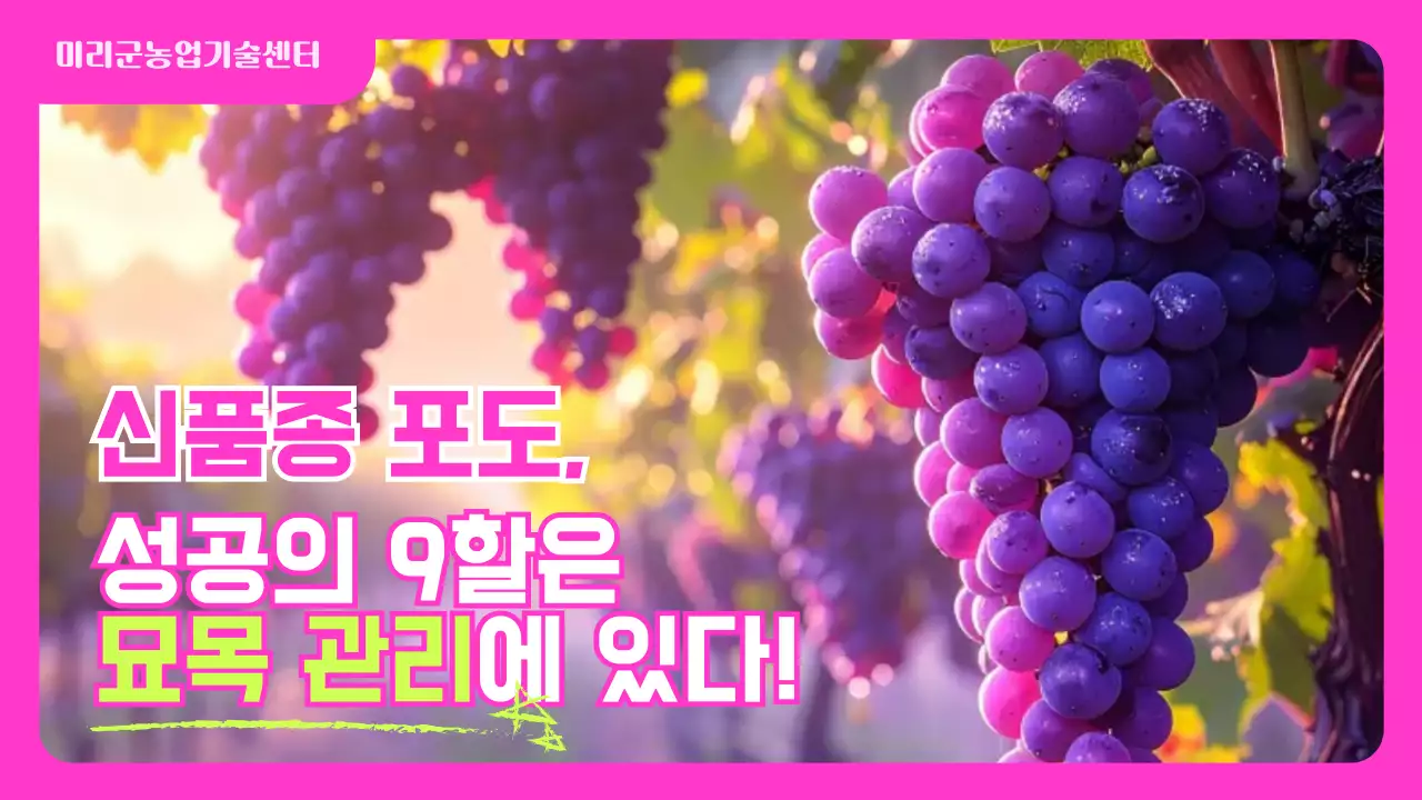 핑크 자연 농업 홍보