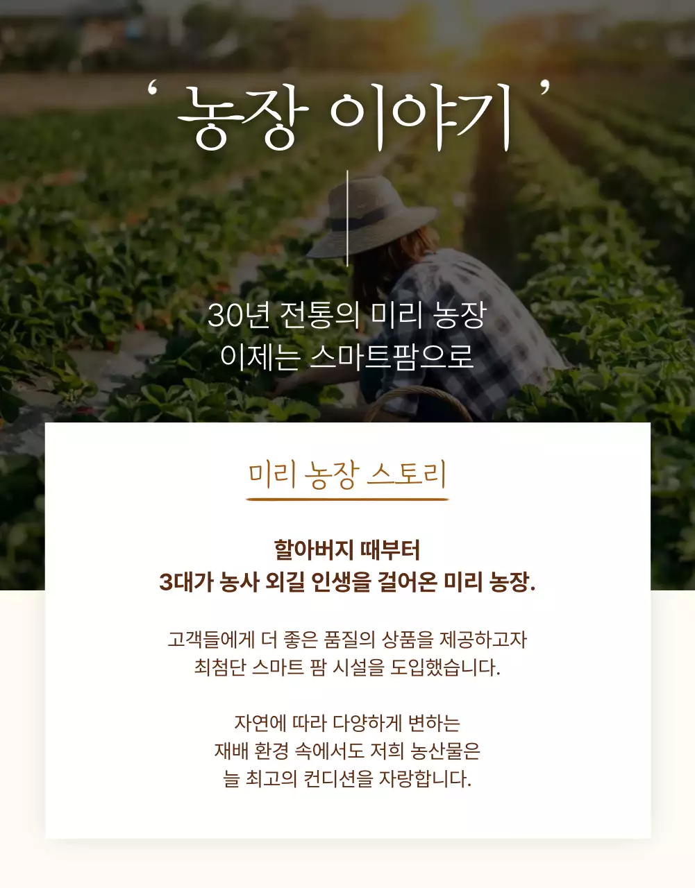 갈색 전통 농산물 광고