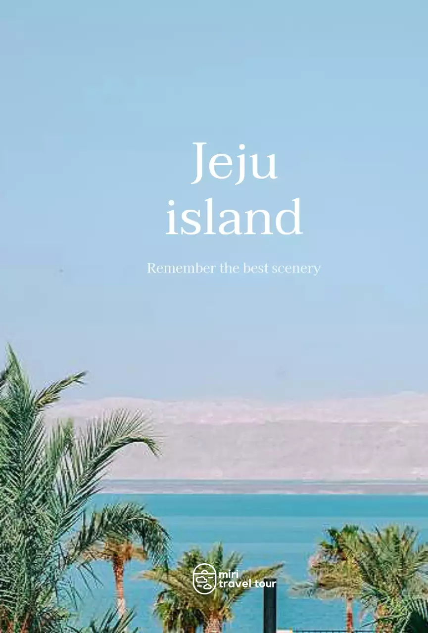 심플한 여행 홍보 안내