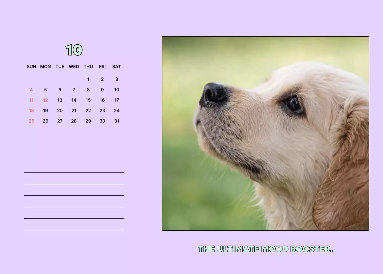 黄色 かわいい 犬 カレンダー