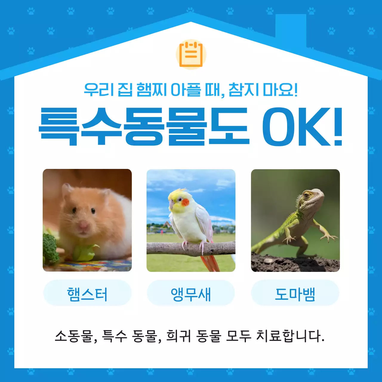 파랑 심플 동물병원 광고