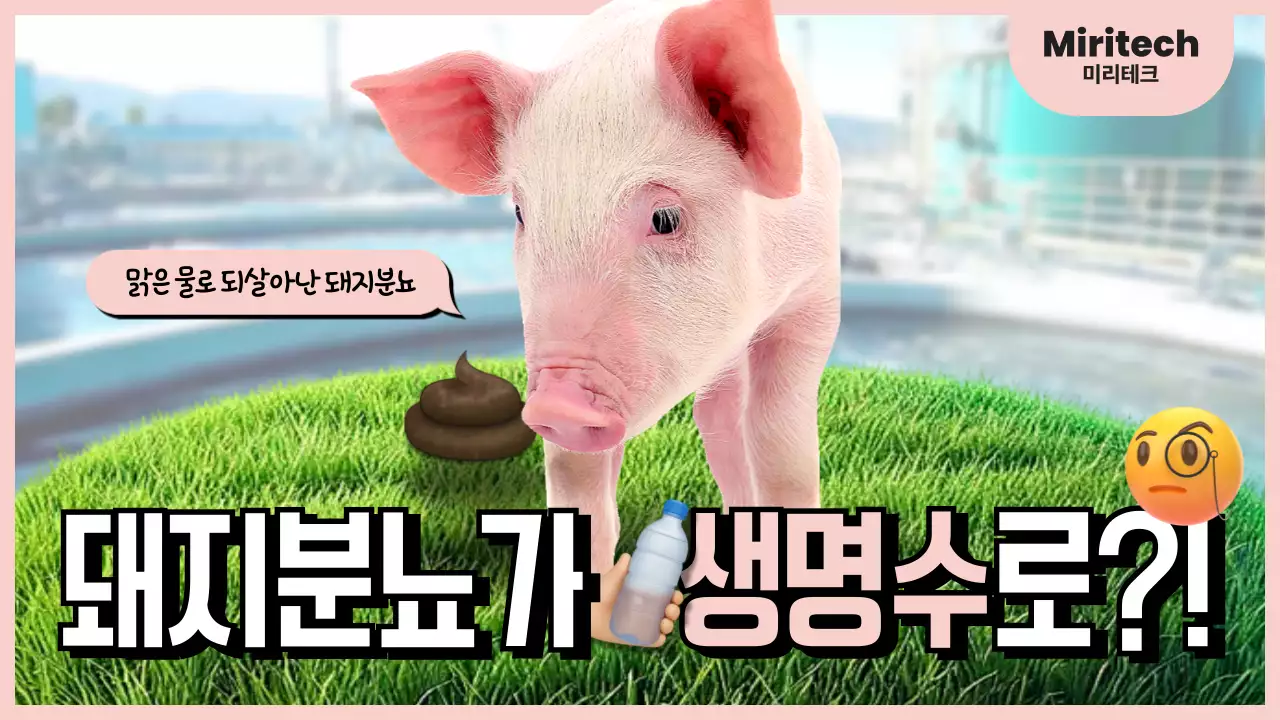 핑크 팝 환경 캠페인 홍보