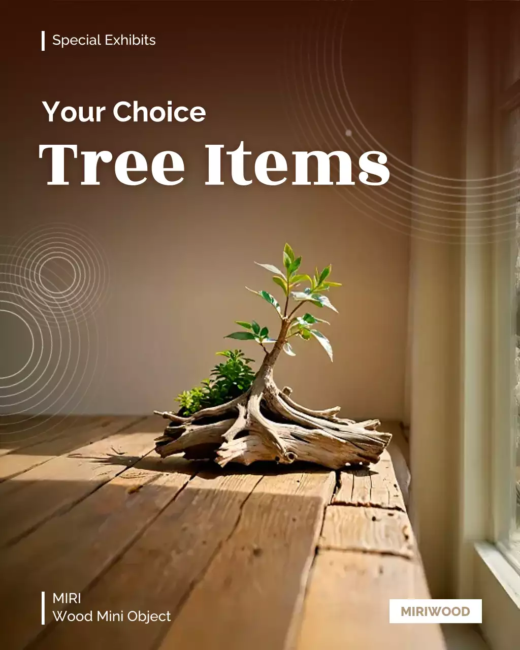 pameran pohon pedesaan berwarna coklat