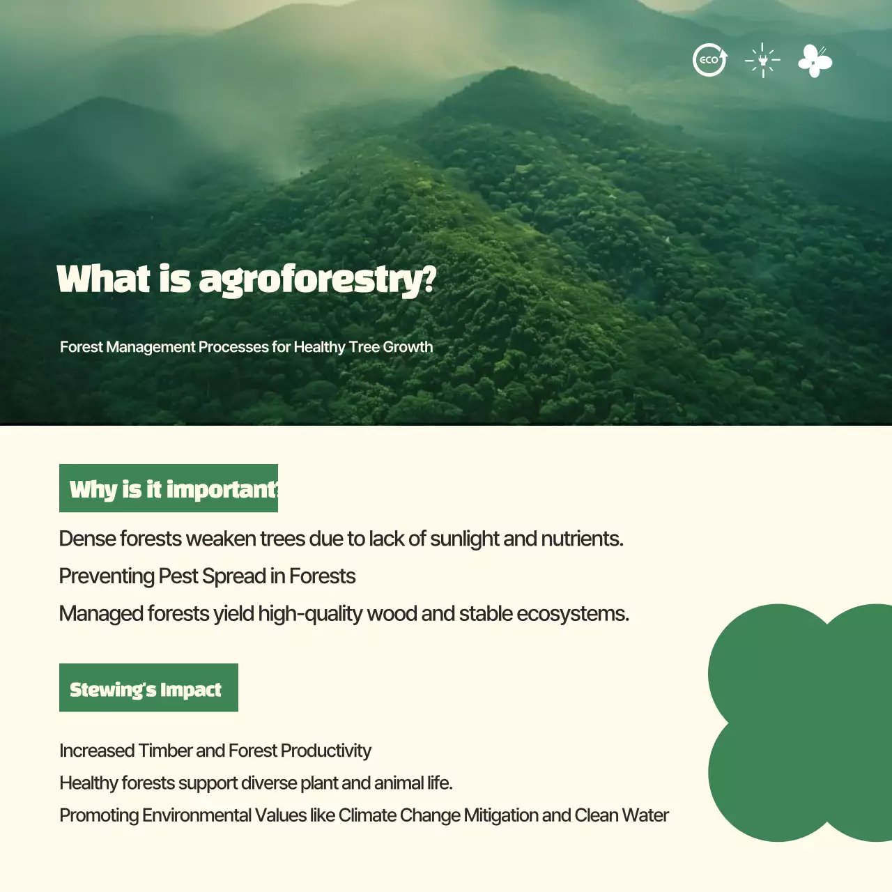 Promoção da Proteção Ambiental Verde e Limpa