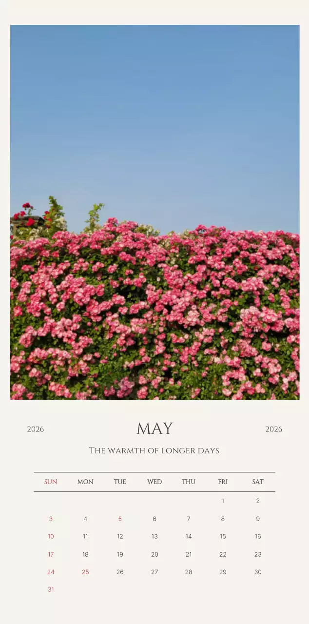 노랑 심플 도시 홍보