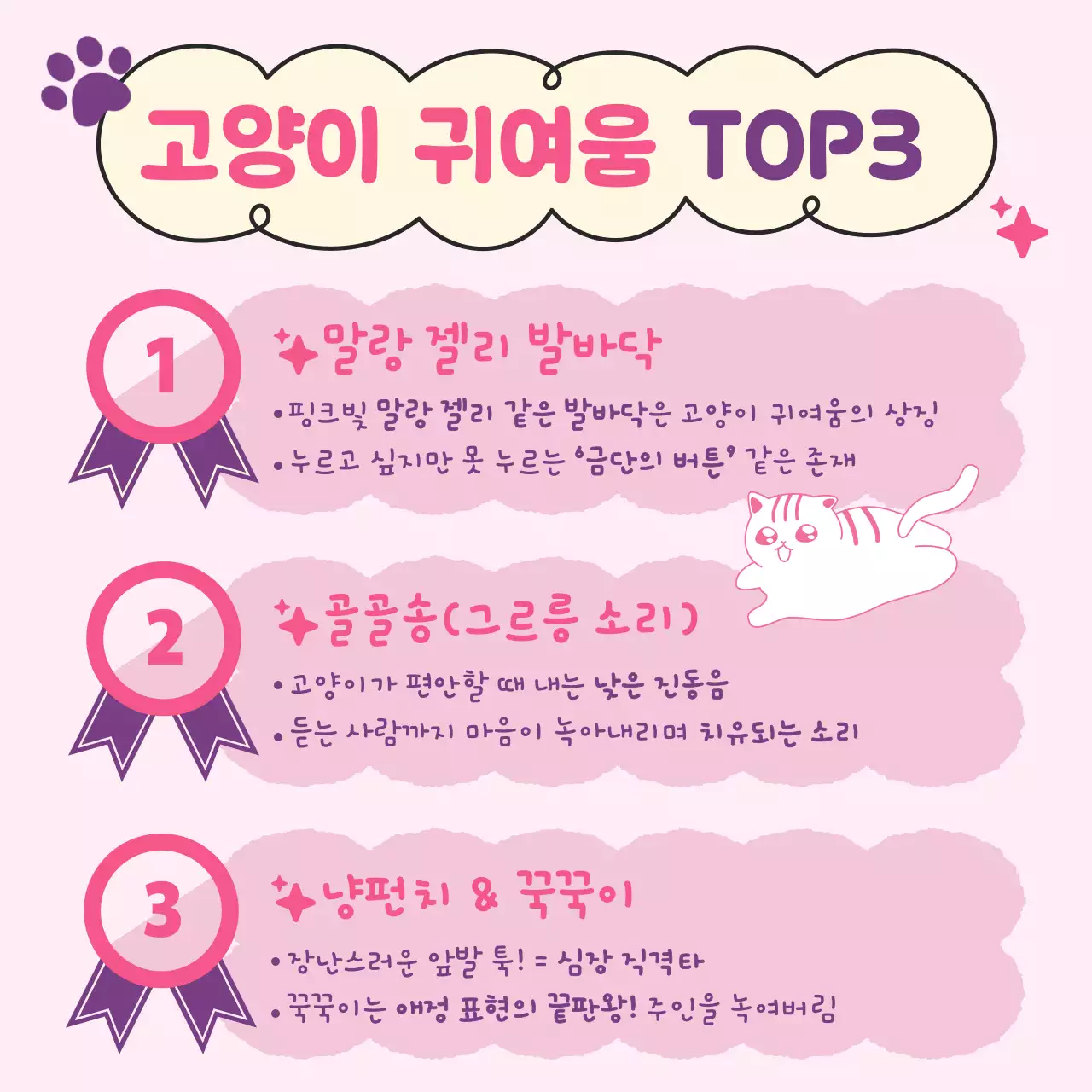 핑크 귀여운 고양이