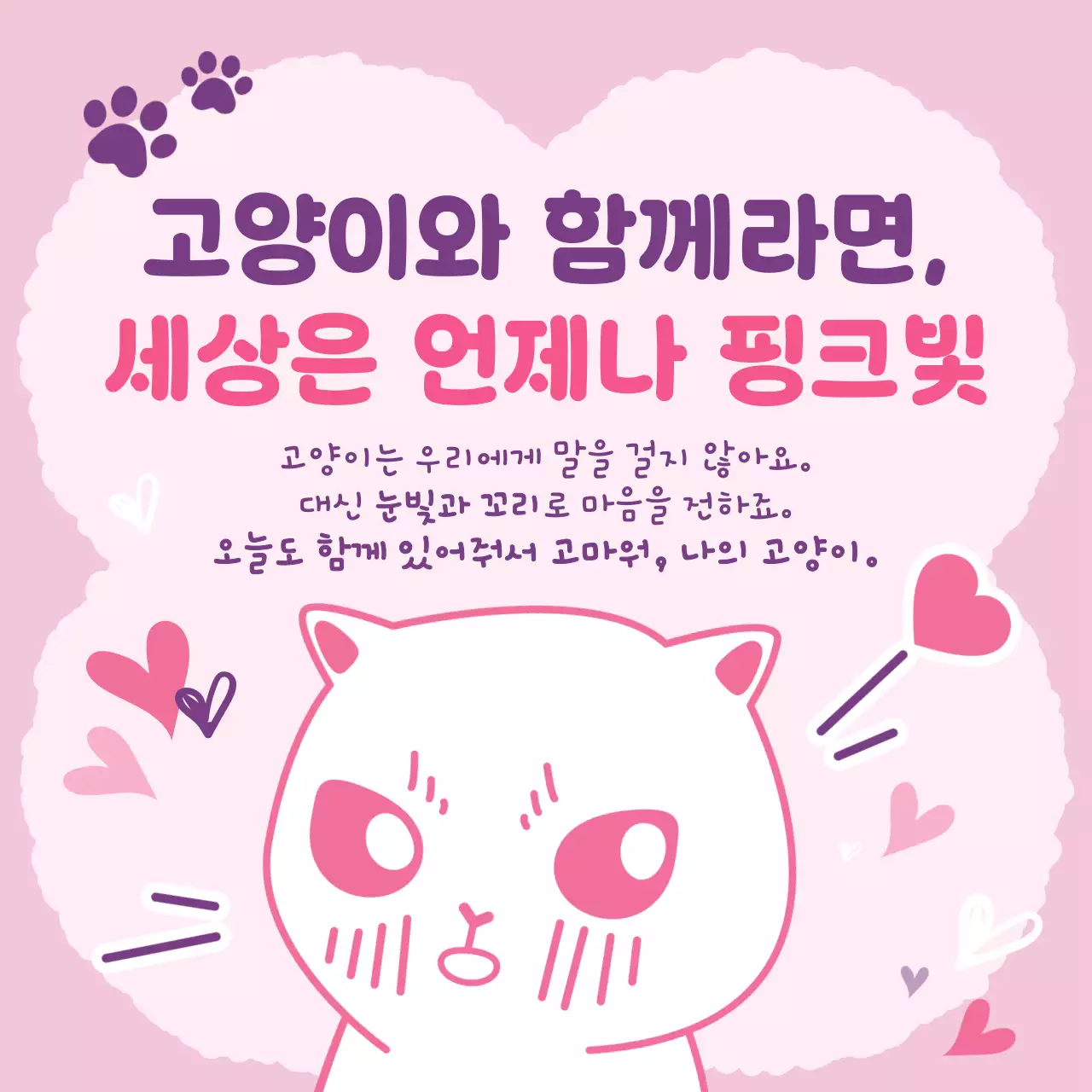 핑크 귀여운 고양이