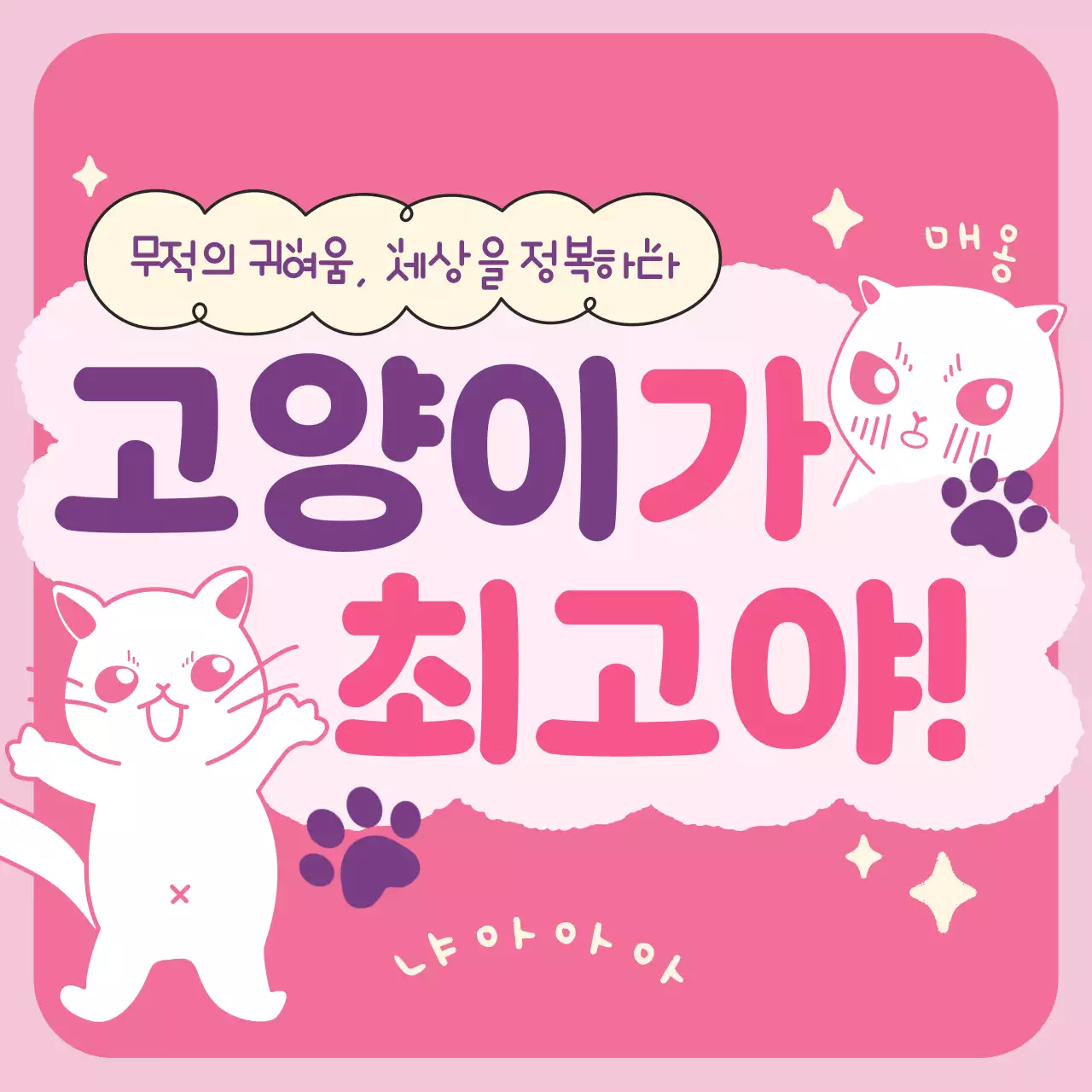핑크 귀여운 고양이