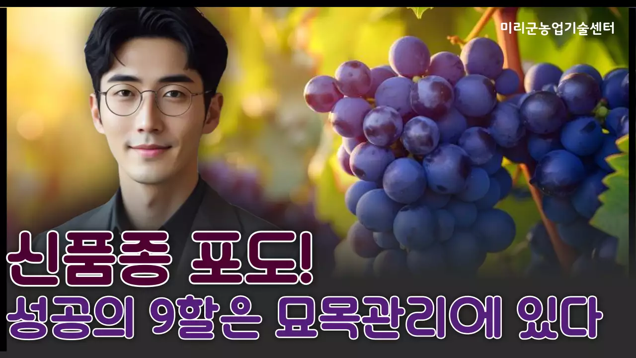 보라 세련 농업 관리 안내