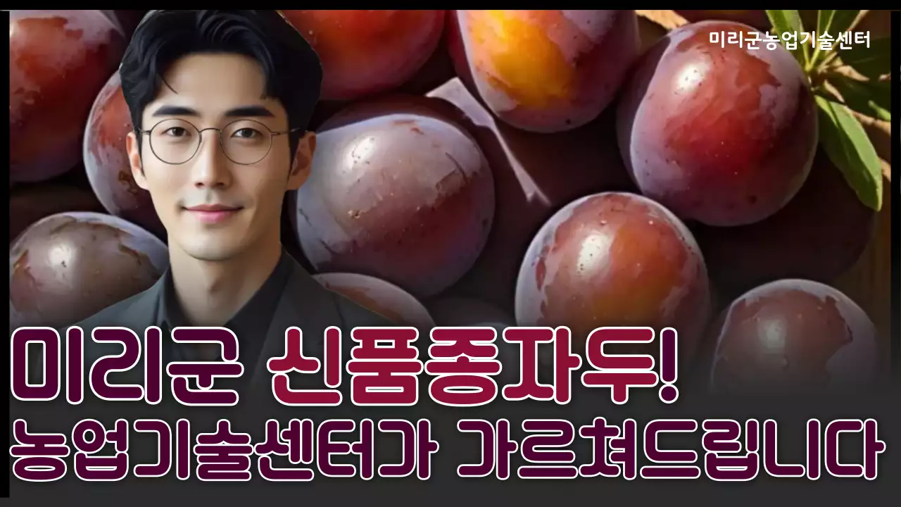 보라 모던 농업 교육