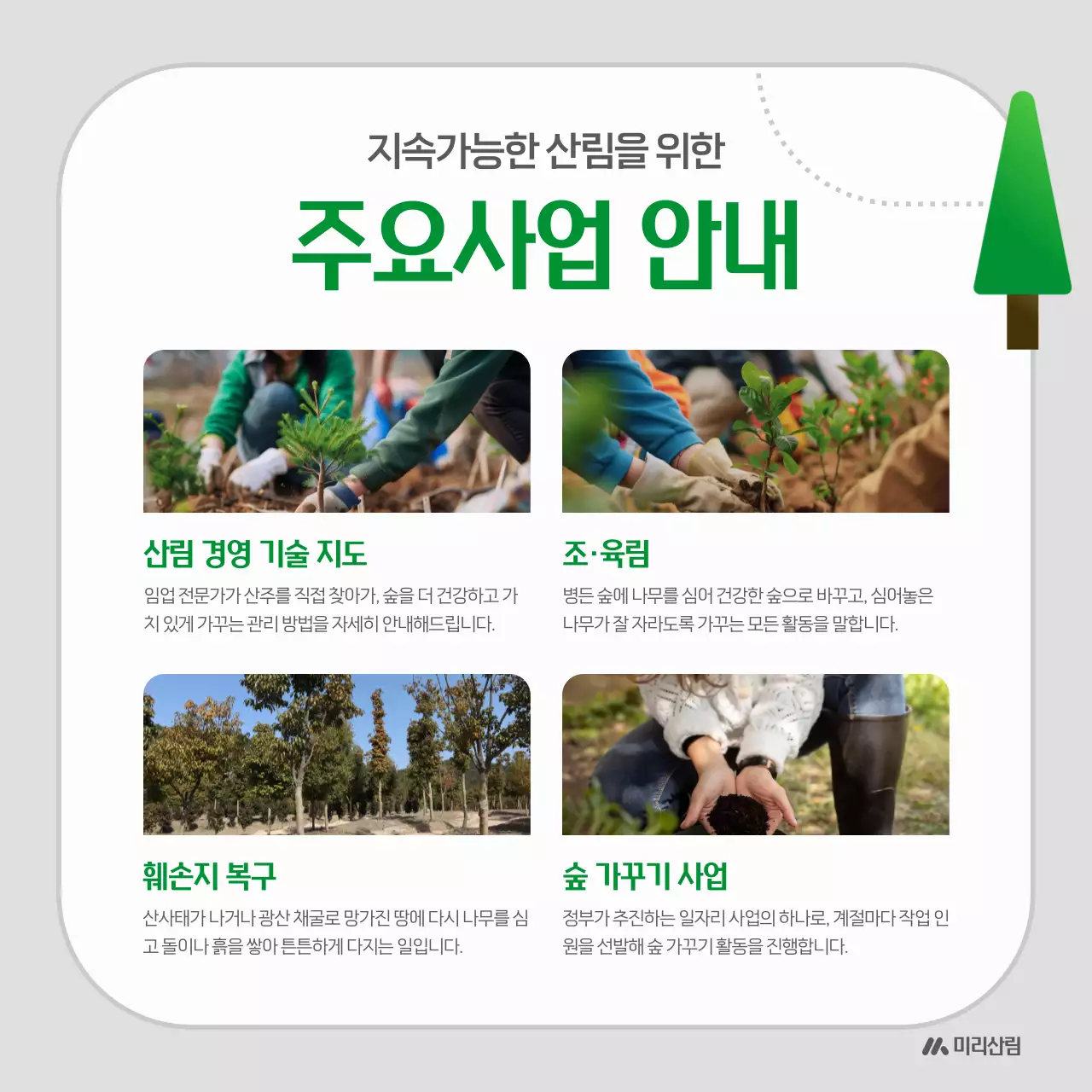 초록 심플 환경 소개