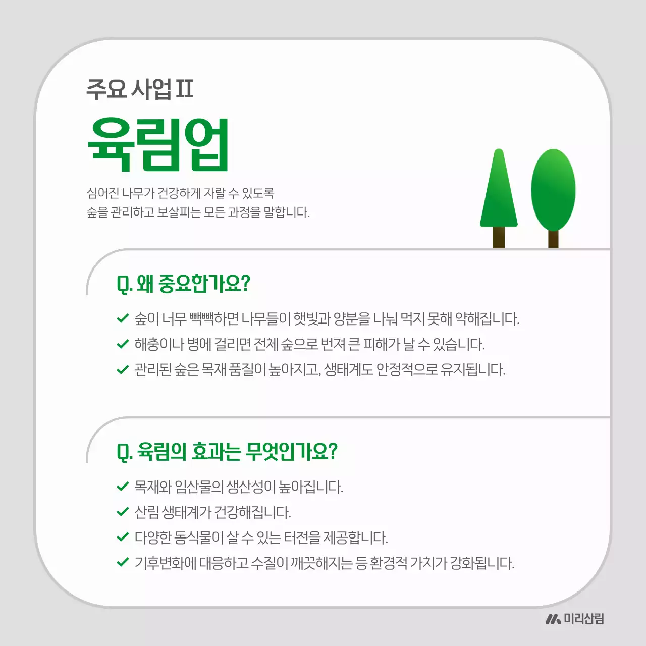 초록 심플 환경 소개