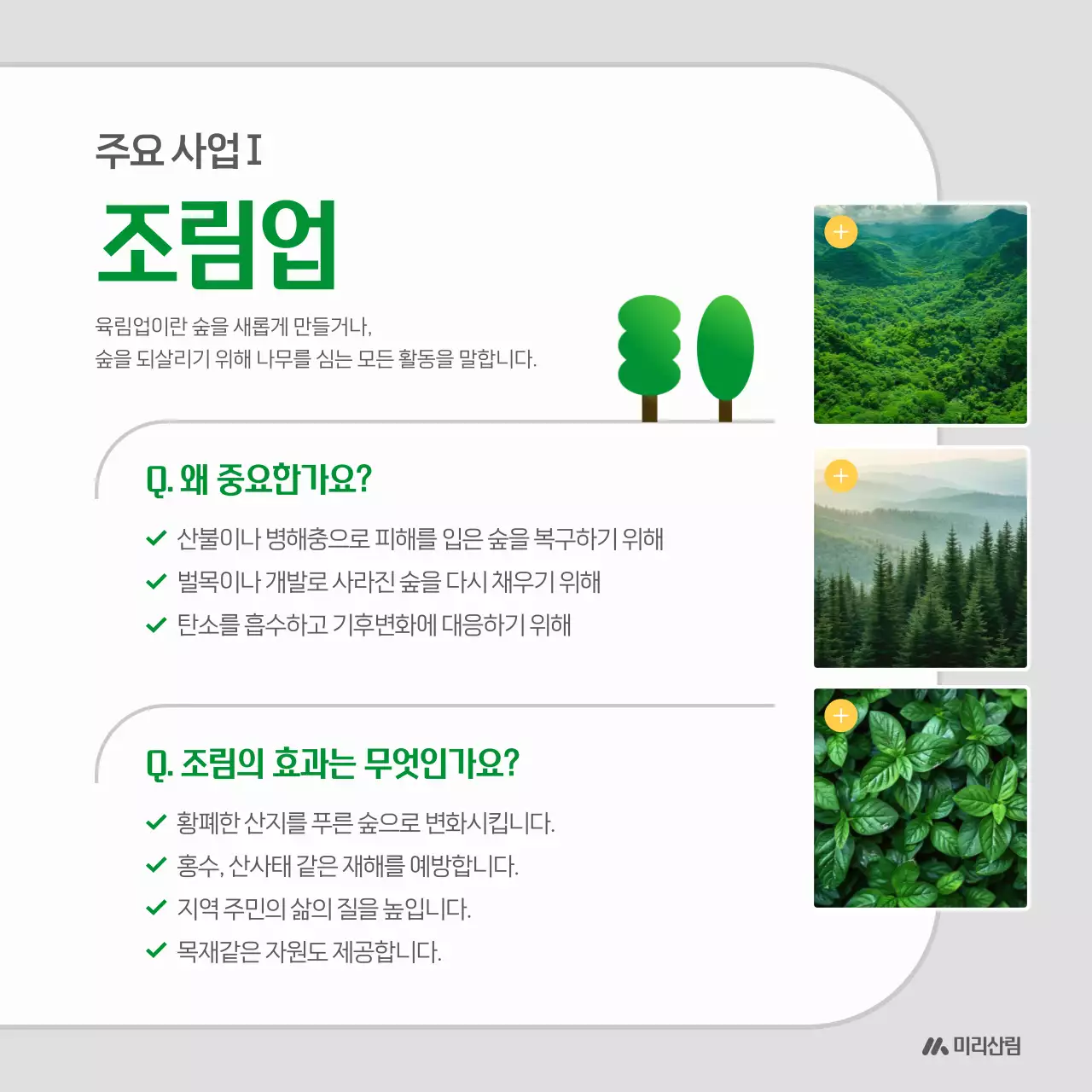 초록 심플 환경 소개