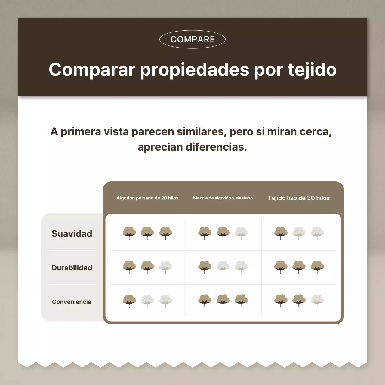 Anuncio de moda simple en beige