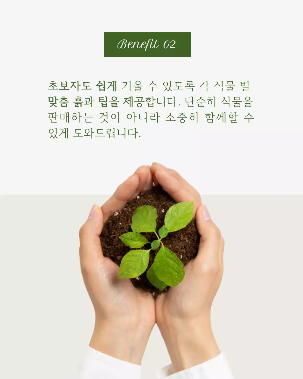 초록 모던 식물 관리 홍보