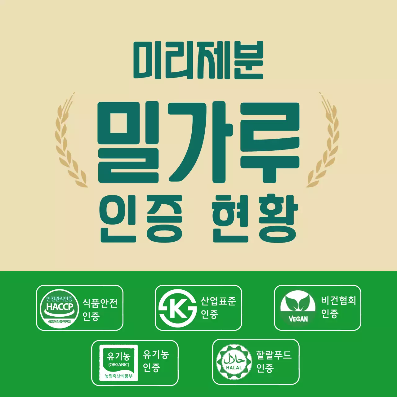 베이지 깔끔 밀가루 정보 전달