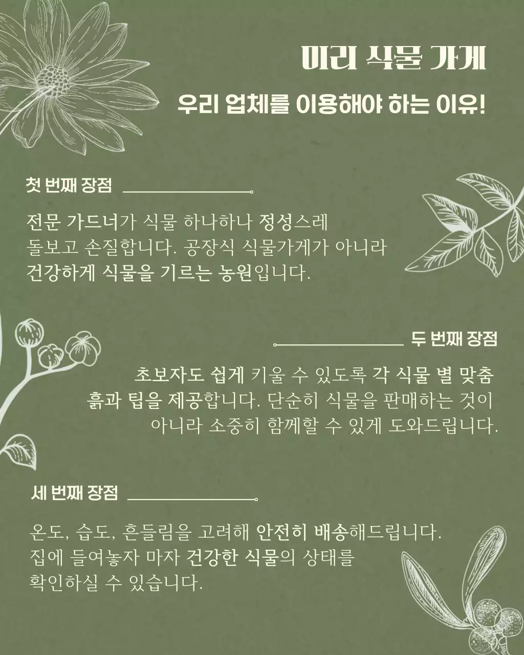 카키 심플 식물 홍보