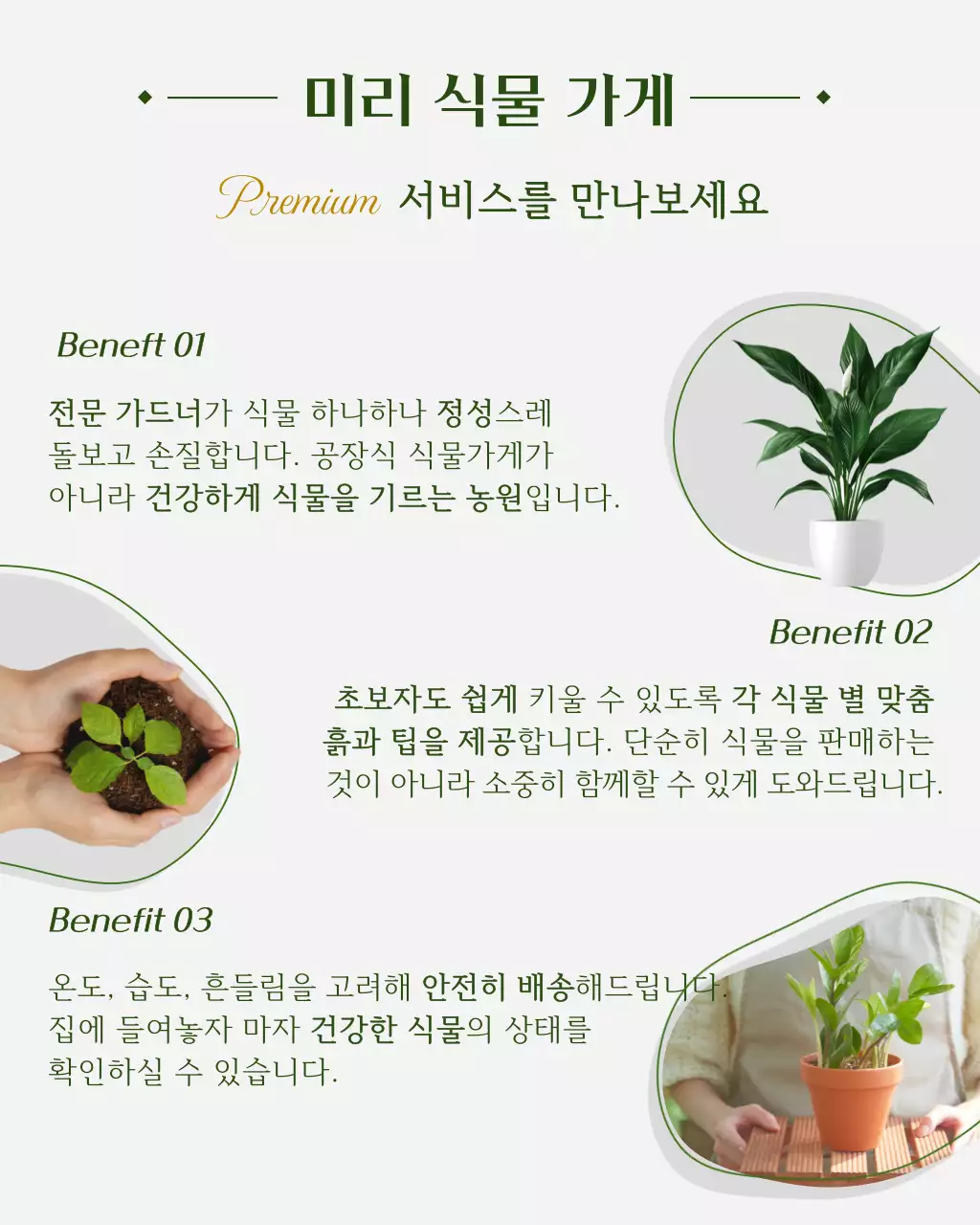 초록 깔끔 식물 관리 제품 홍보