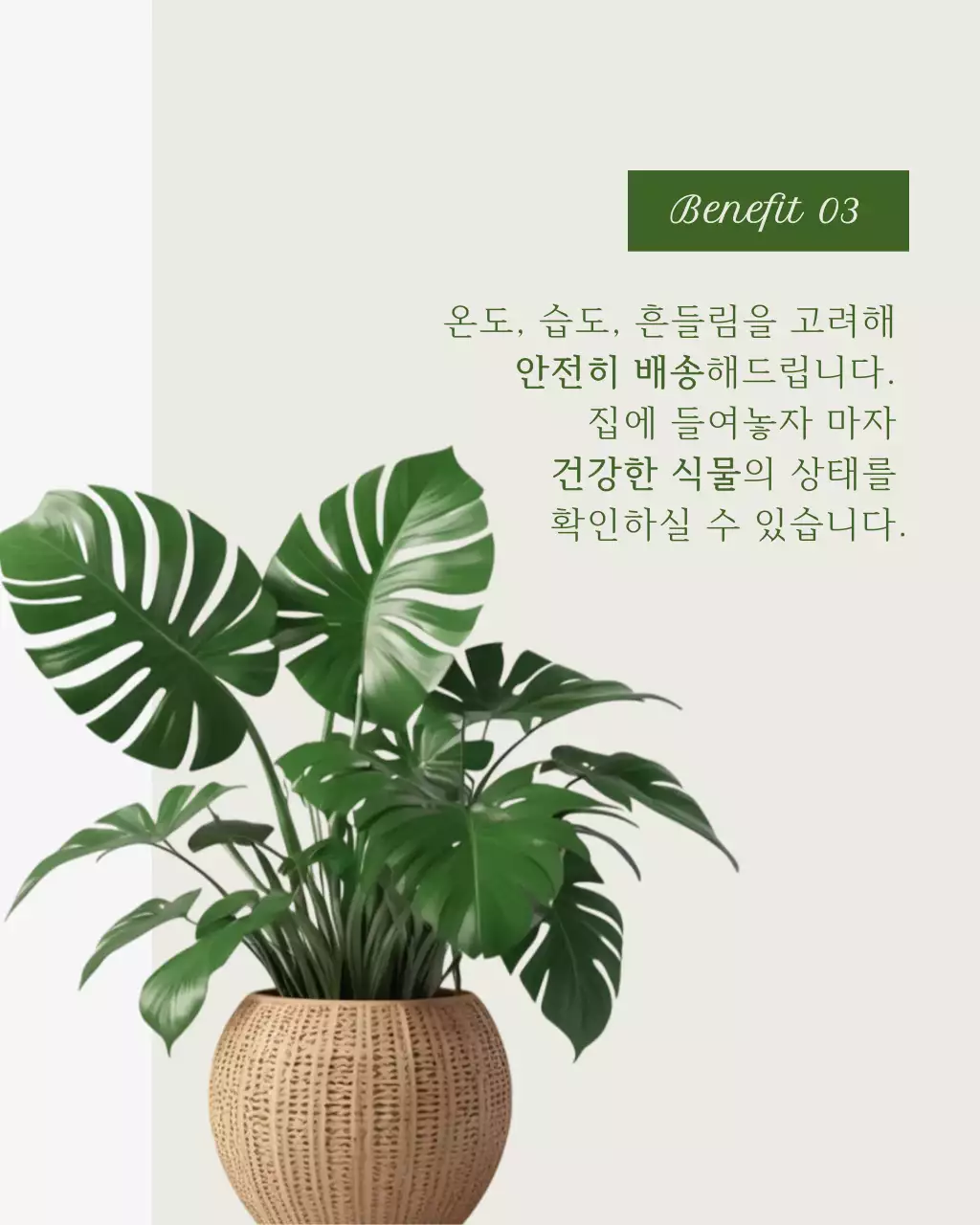 초록 모던 식물 관리 홍보