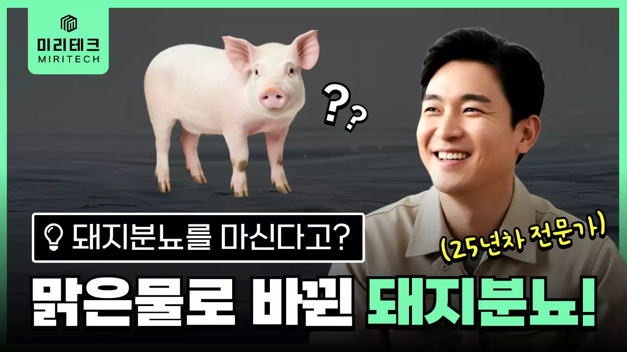 민트 모던 기술 설명