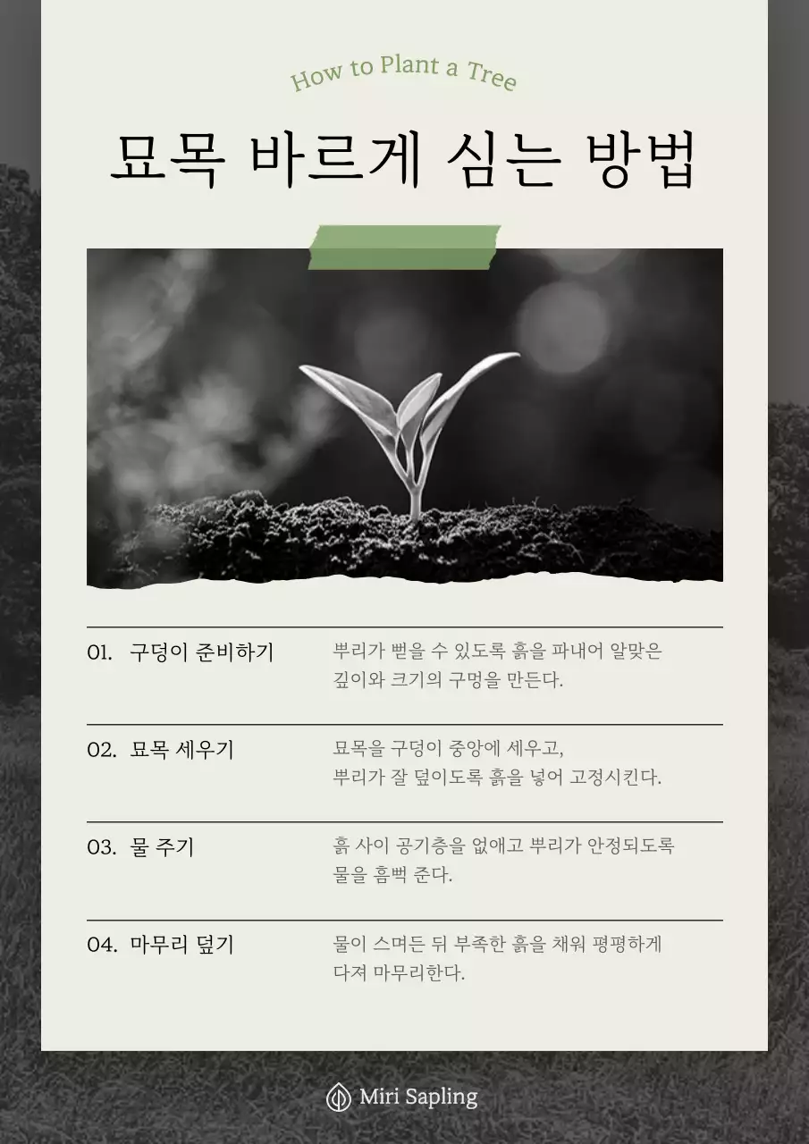 베이지 심플 가드닝 설명