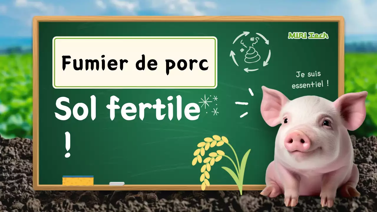 Campagne environnementale verte et simple