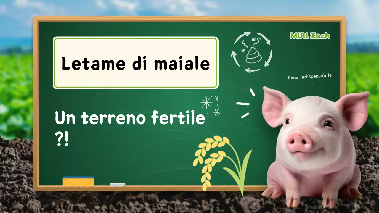 Campagna Green Simple Environment