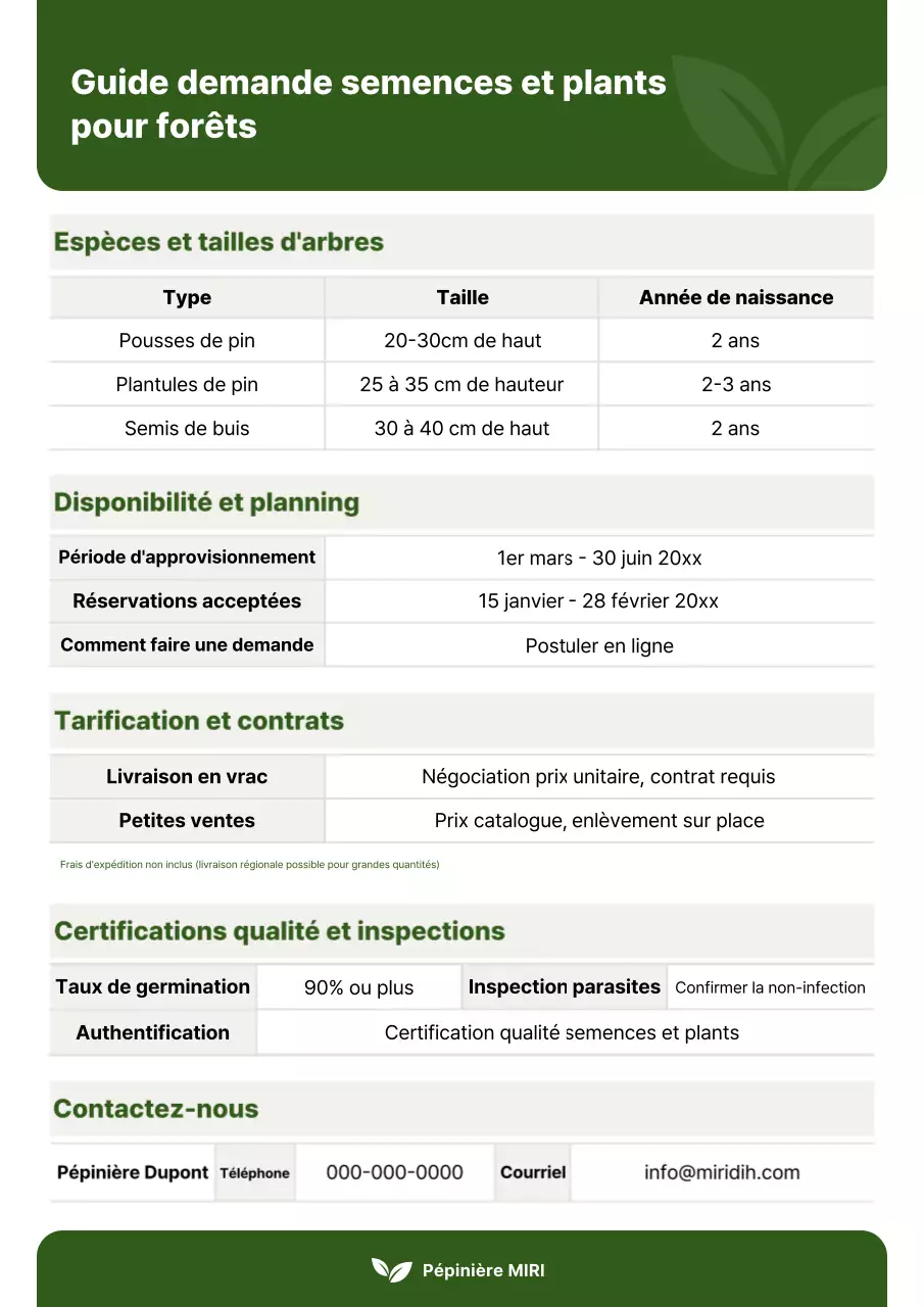 Guide de création d'une forêt verte simple