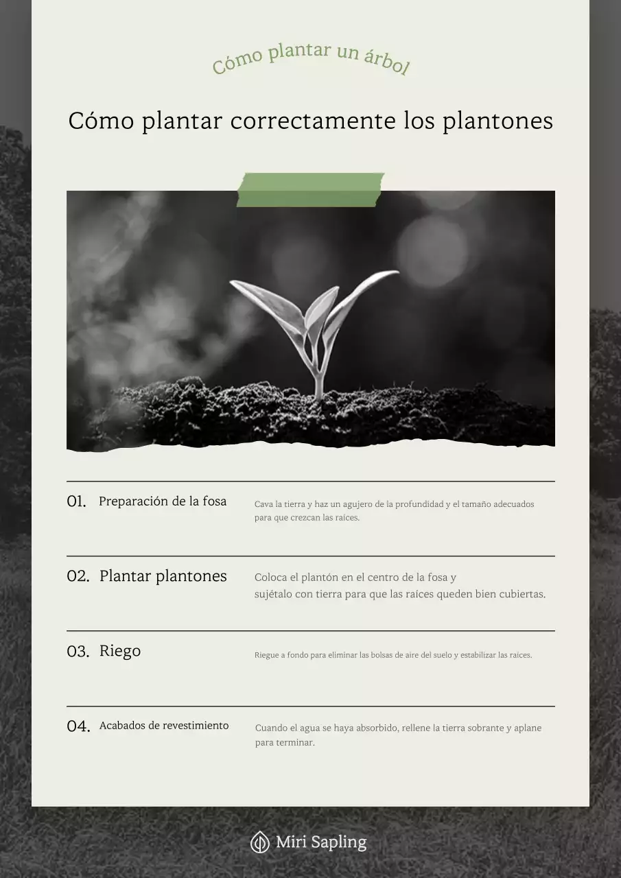 Descripción de jardinería sencilla en beige