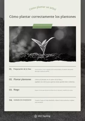 Descripción de jardinería sencilla en beige