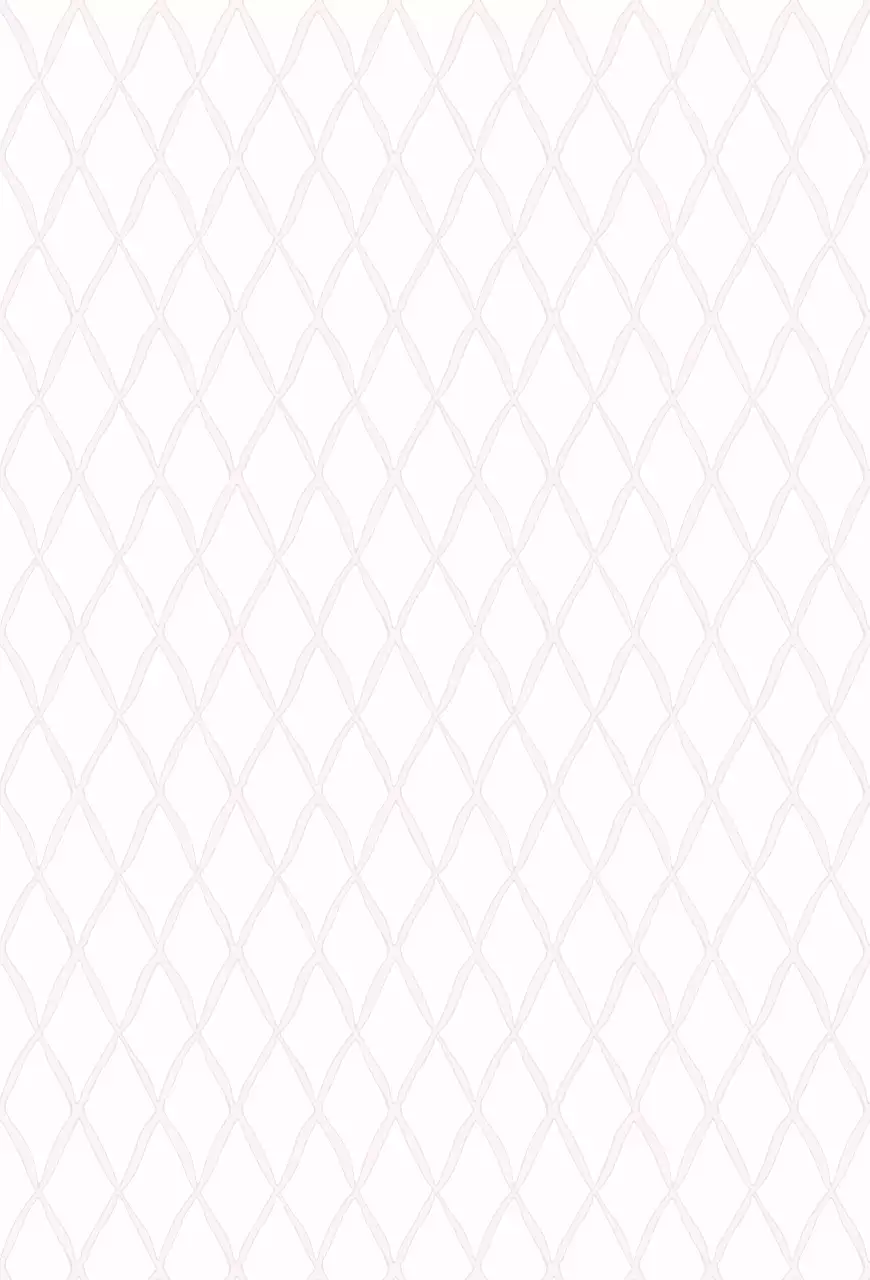 연보라 팝 생일 기념