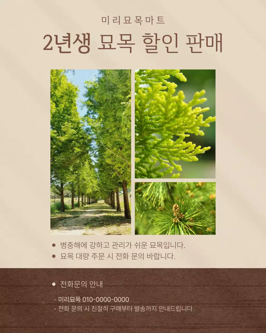 베이지 깔끔 묘목 판매 안내