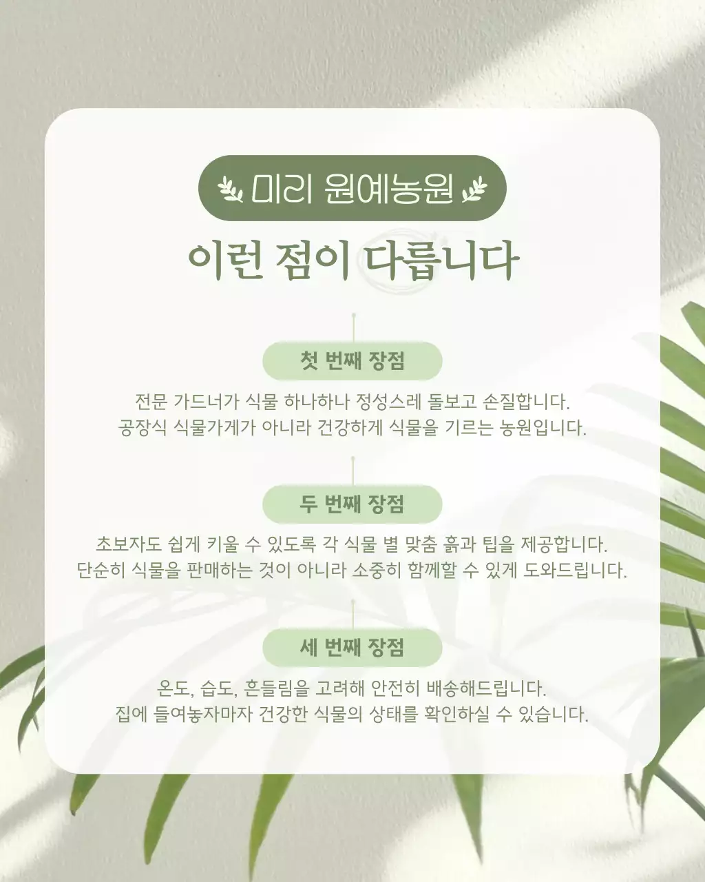 연두 깔끔 원예 정보 전달