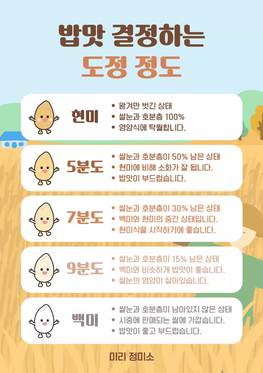 하늘색 아기자기한 쌀 정보 전달