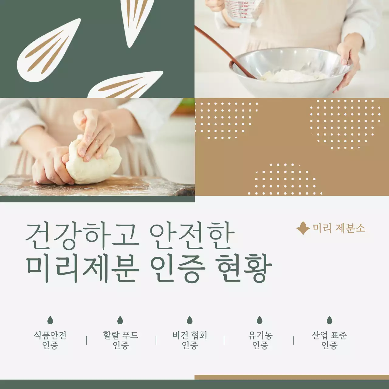 카키 심플 식품 인증 홍보