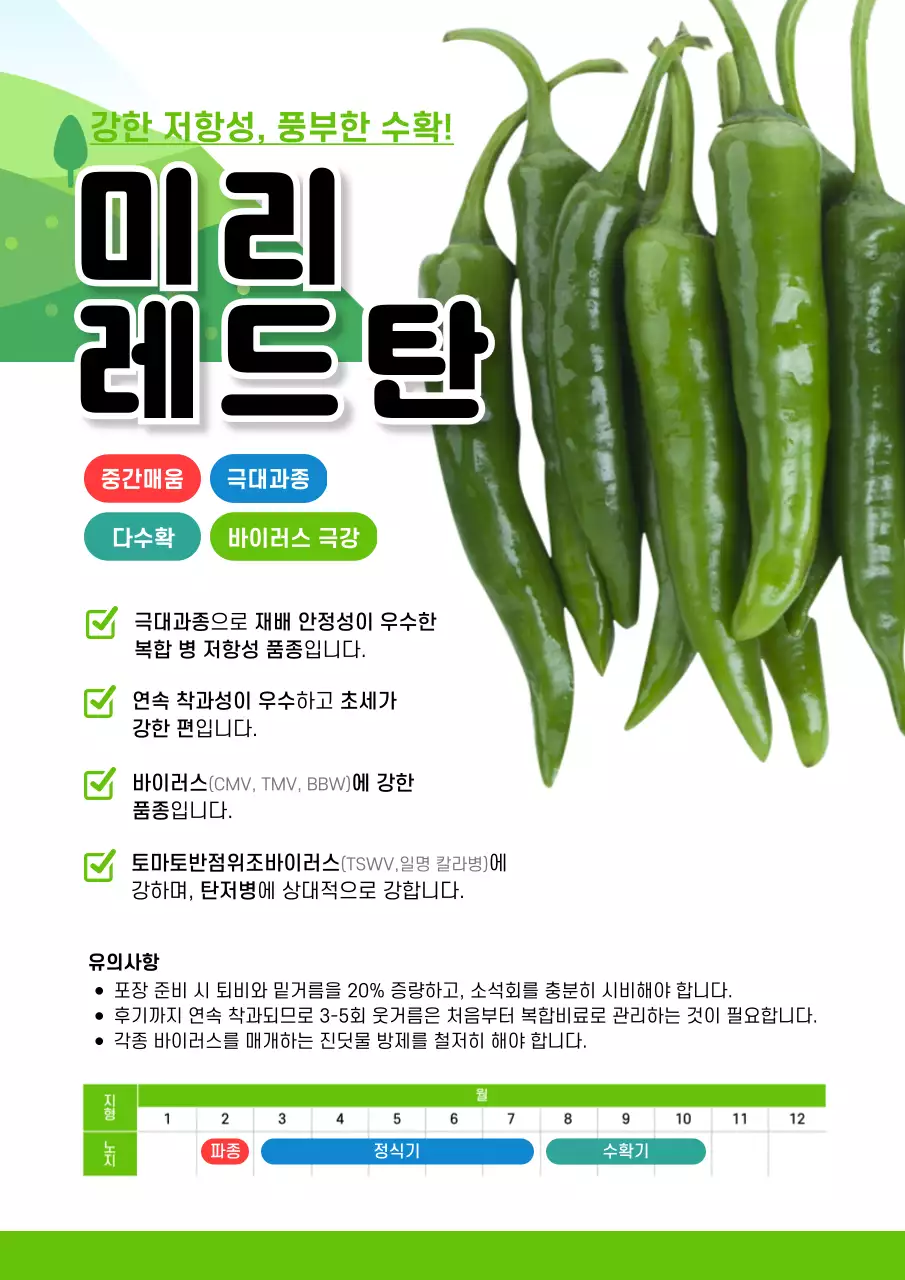 초록 기본 농업 제품 홍보