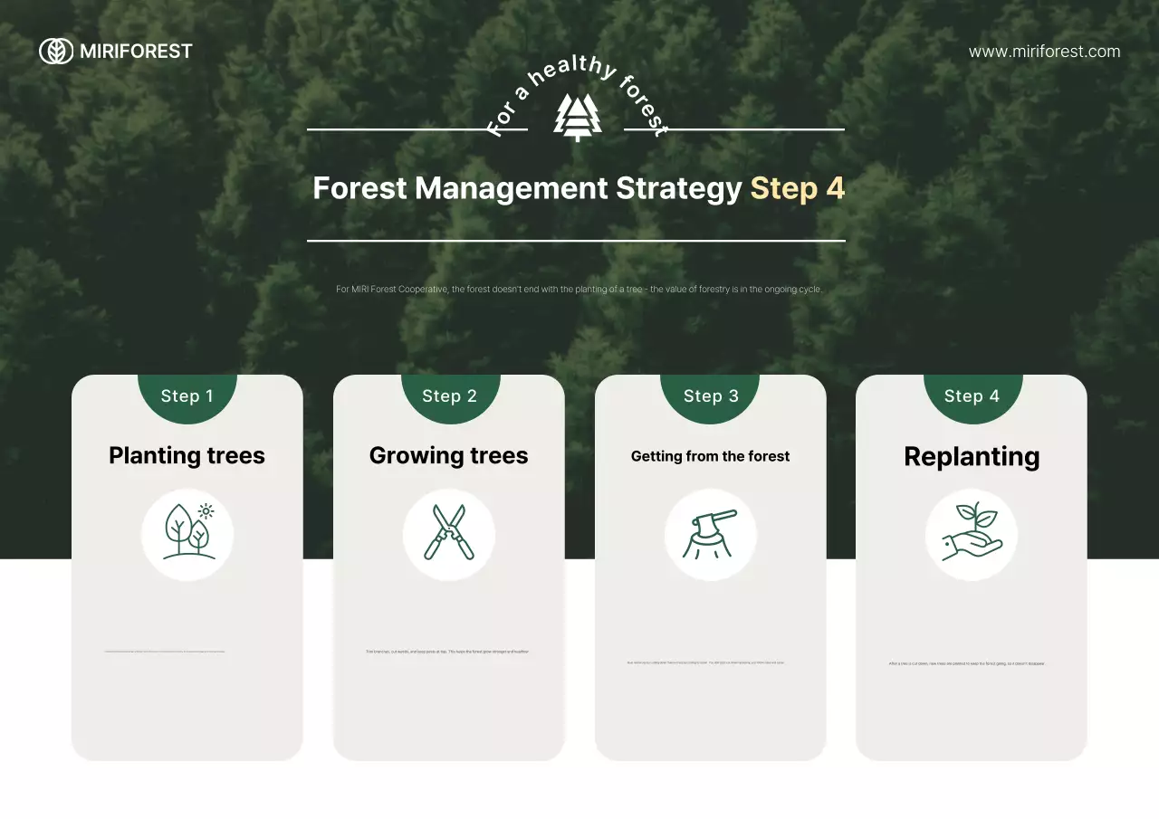 Hướng dẫn bảo vệ môi trường đơn giản xanh