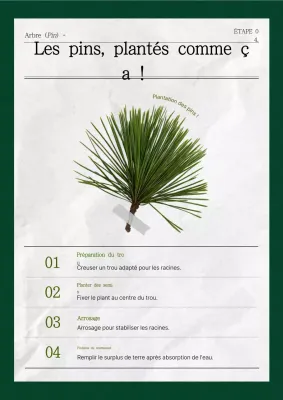 Matériel pédagogique sur les plantes vertes simples