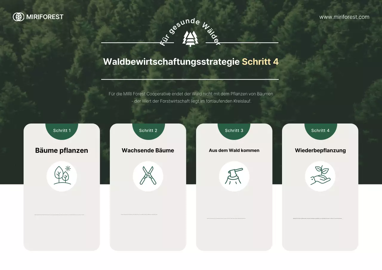 Green Simple Umweltschutzleitfaden