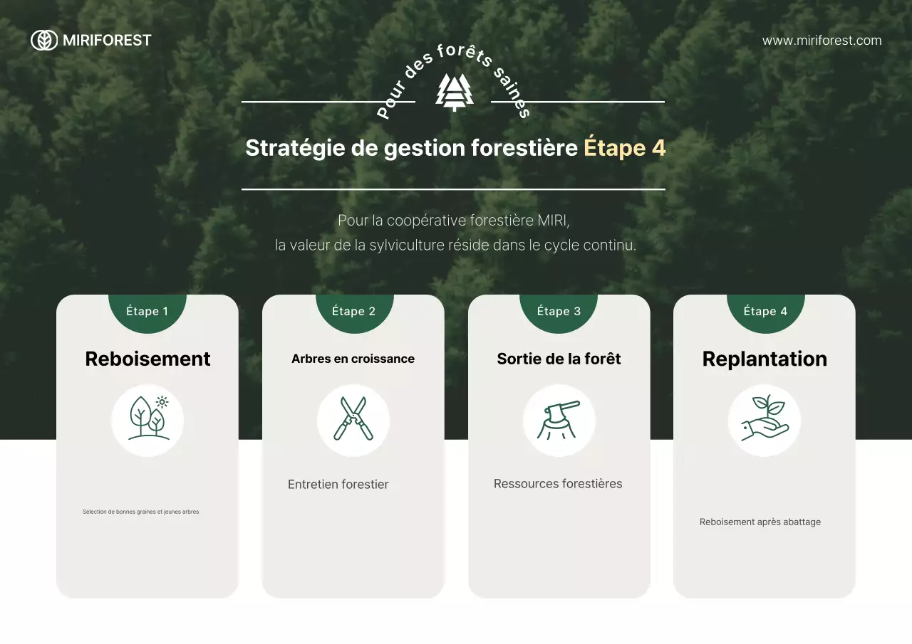 Guide simple et écologique de protection de l'environnement