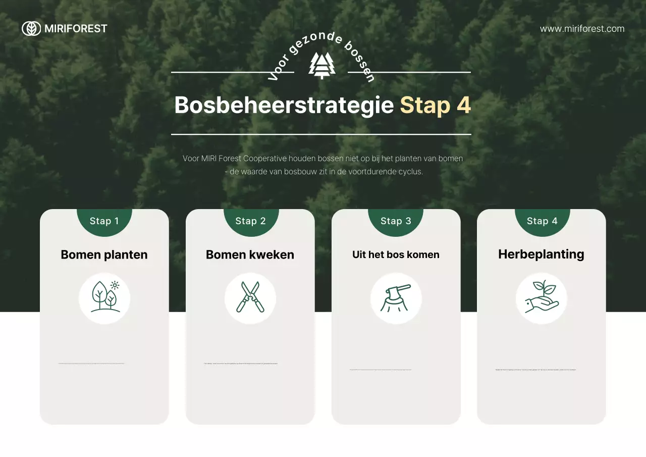 Groene, eenvoudige gids voor milieubescherming