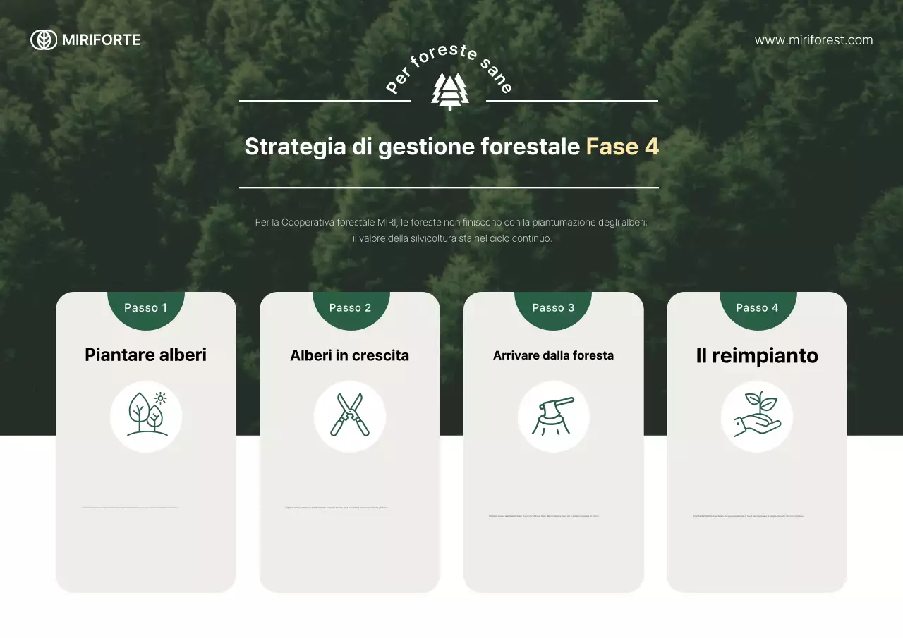 Guida semplice e verde per la protezione ambientale