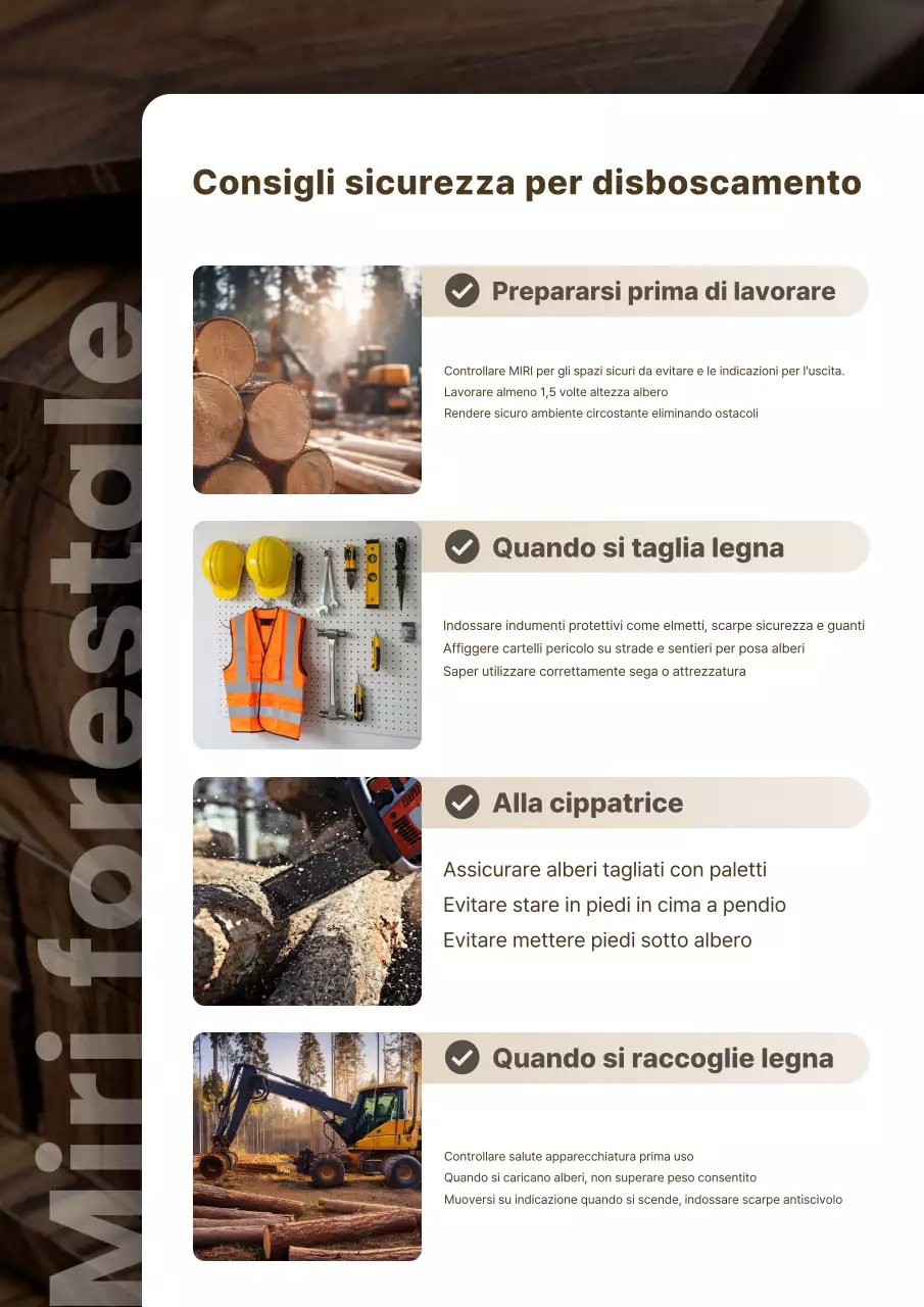 Linee guida per la sicurezza di Beige Clean